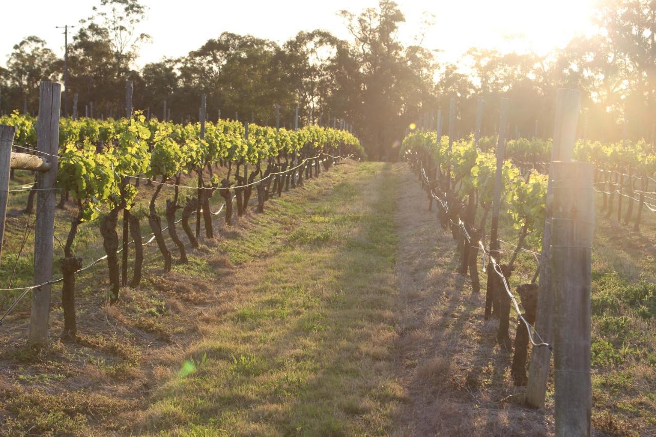 Blueberry Hill Vineyard Stay Rothbury Zewnętrze zdjęcie