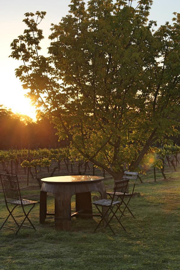Blueberry Hill Vineyard Stay Rothbury Zewnętrze zdjęcie